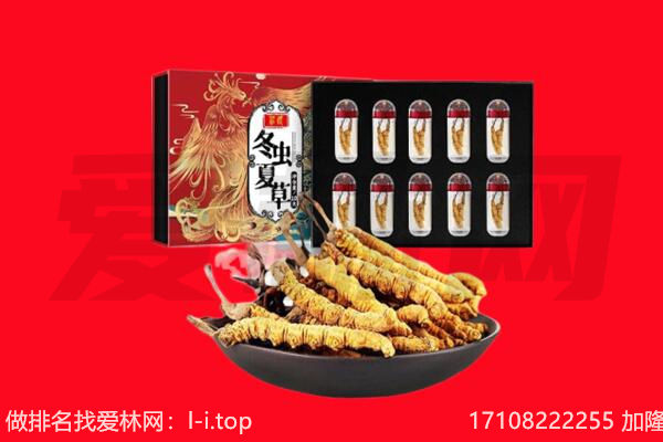 廊坊市广阳回收虫草.jpg